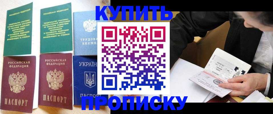 прописка для школы в Всеволожске